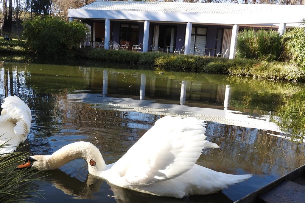 Willow Place Guest House มิดแรนด์ ภายนอก รูปภาพ